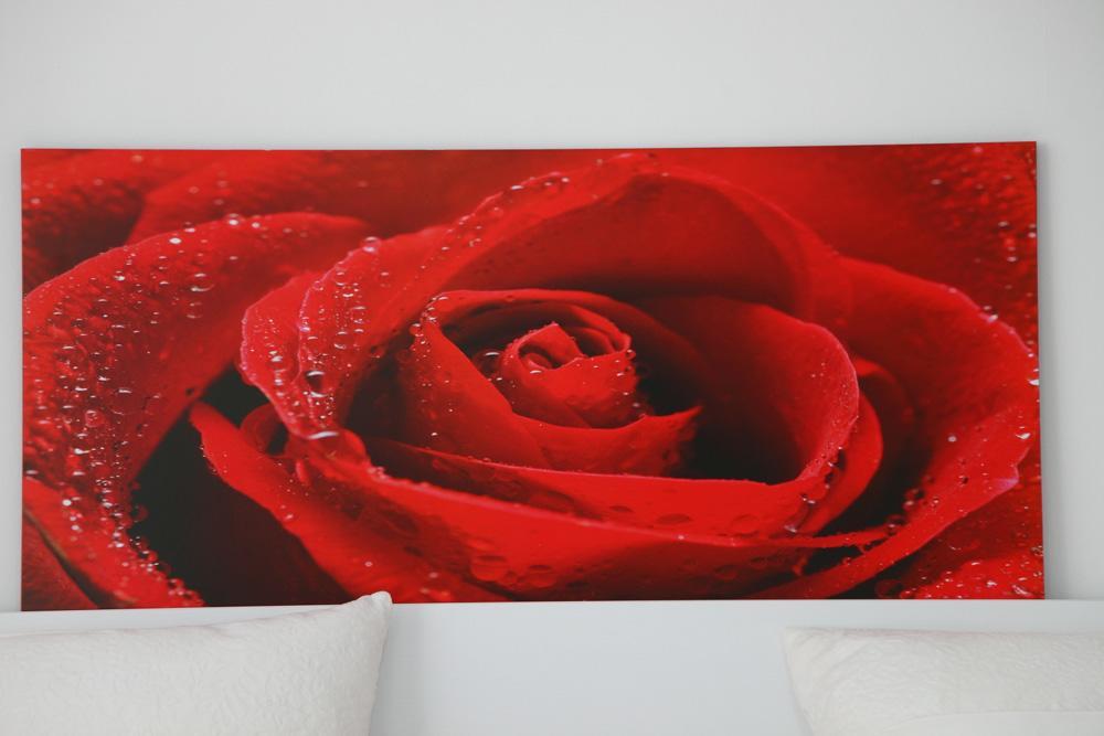 B&B Rosaly San Cataldo  Dış mekan fotoğraf